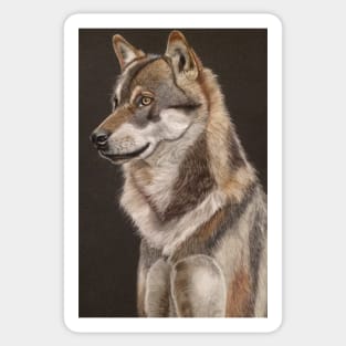 "Wolf" by Zelmi Fine Art Sticker